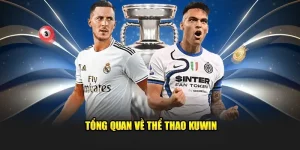 Cá cuocjdw bóng đá tại kuwin